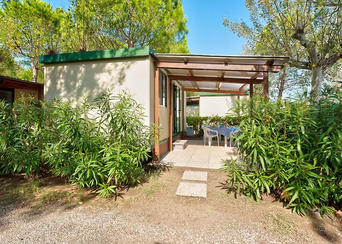 Hotel con piscina: Camping Village Mareblu